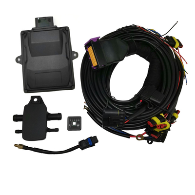Профессиональные черные ГПГ ECU ECU управления с расширенными и пользовательскими функциями