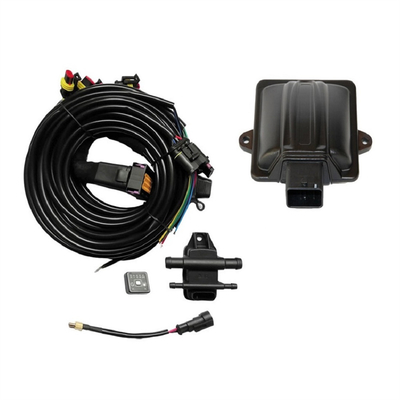 3, 4-цилиндровый тип CNG LPG ECU с пластиковым корпусом ABS